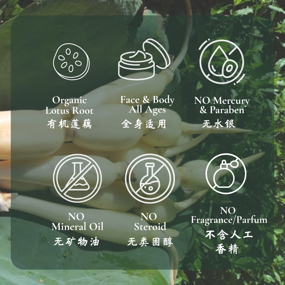 Lotus Nourishing Snow Cream 莲藕雪花膏 50g